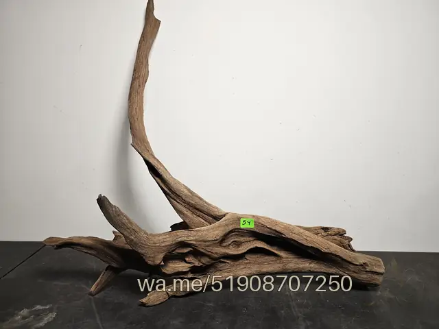 Tronco 54, 46 × 18 × 46 cm: pieza única de nuestro stock