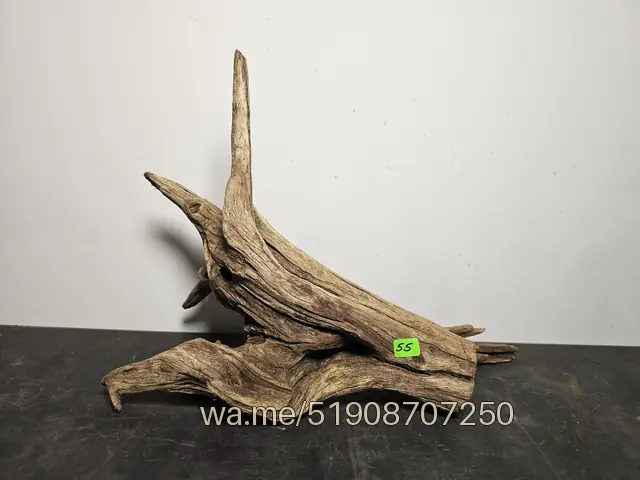 Tronco 55, 38 × 16 × 28 cm: pieza única de nuestro stock