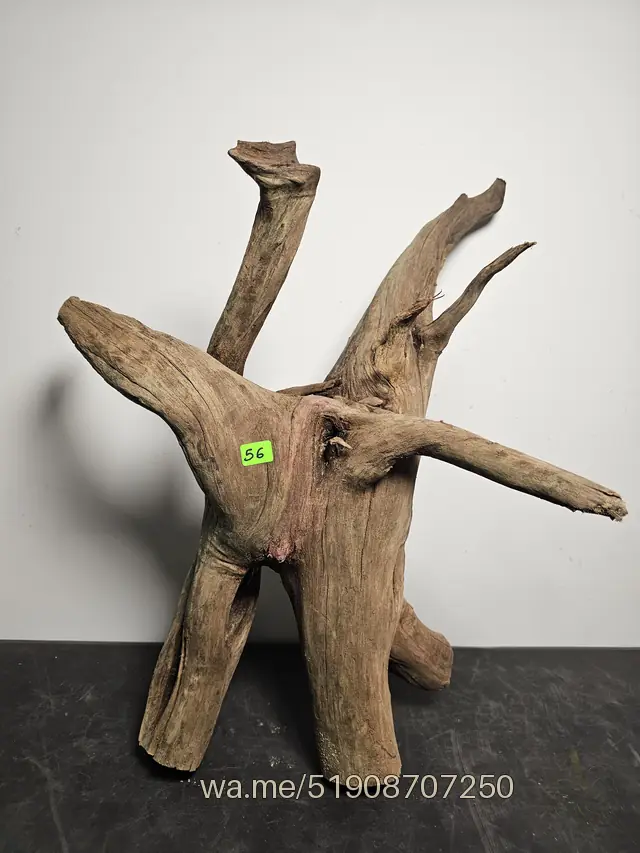 Tronco 56, 32 × 26 × 43 cm: pieza única de nuestro stock