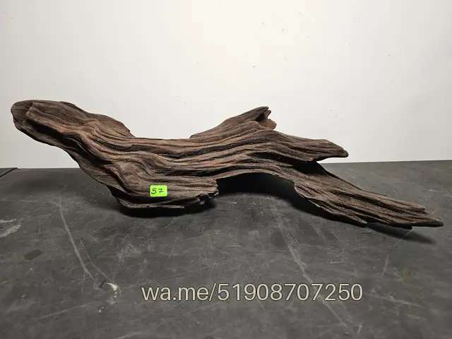 Tronco 57, 45 × 30 × 15 cm: pieza única de nuestro stock