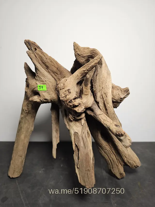 Tronco 59, 38 × 32 × 36 cm: pieza única de nuestro stock