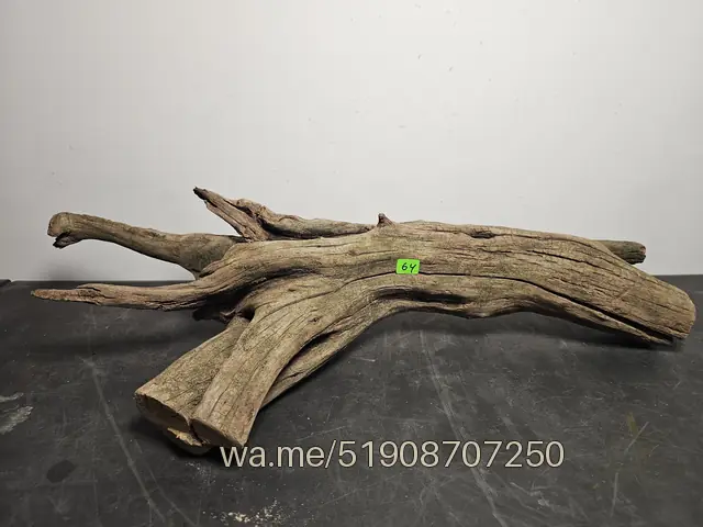 Tronco 64, 56 × 22 × 13 cm: pieza única de nuestro stock