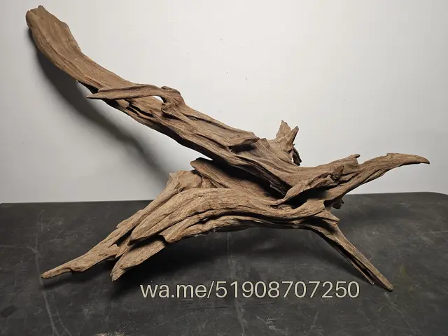 Tronco 65, 58 × 30 × 36 cm: pieza única de nuestro stock