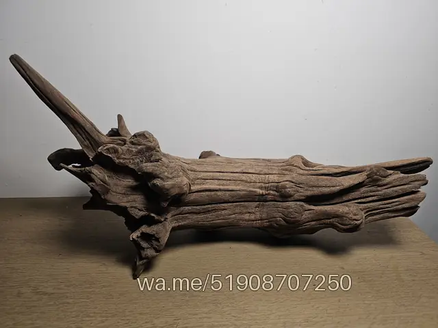 Tronco 66, 52 × 15 × 27 cm: pieza única de nuestro stock